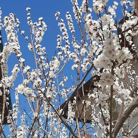 Appartement Country Treasure *